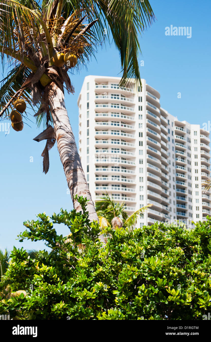 Coconut Lager Palme und hohe Kondominium auf Singer Island, Riviera Beach, Florida, USA Stockfoto