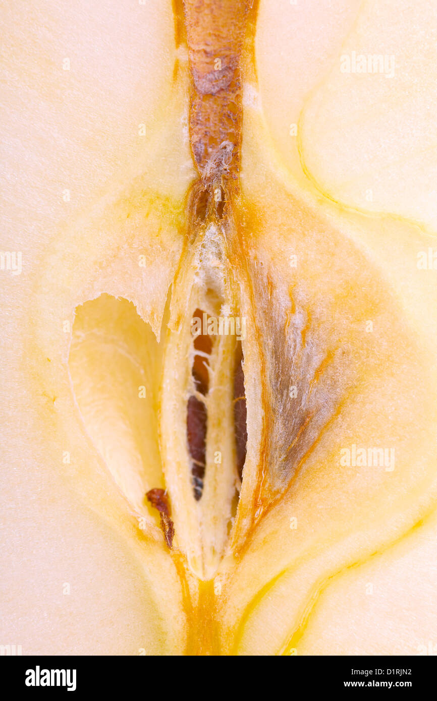 Nahaufnahme von einen halben Apfel Obst detail Stockfoto