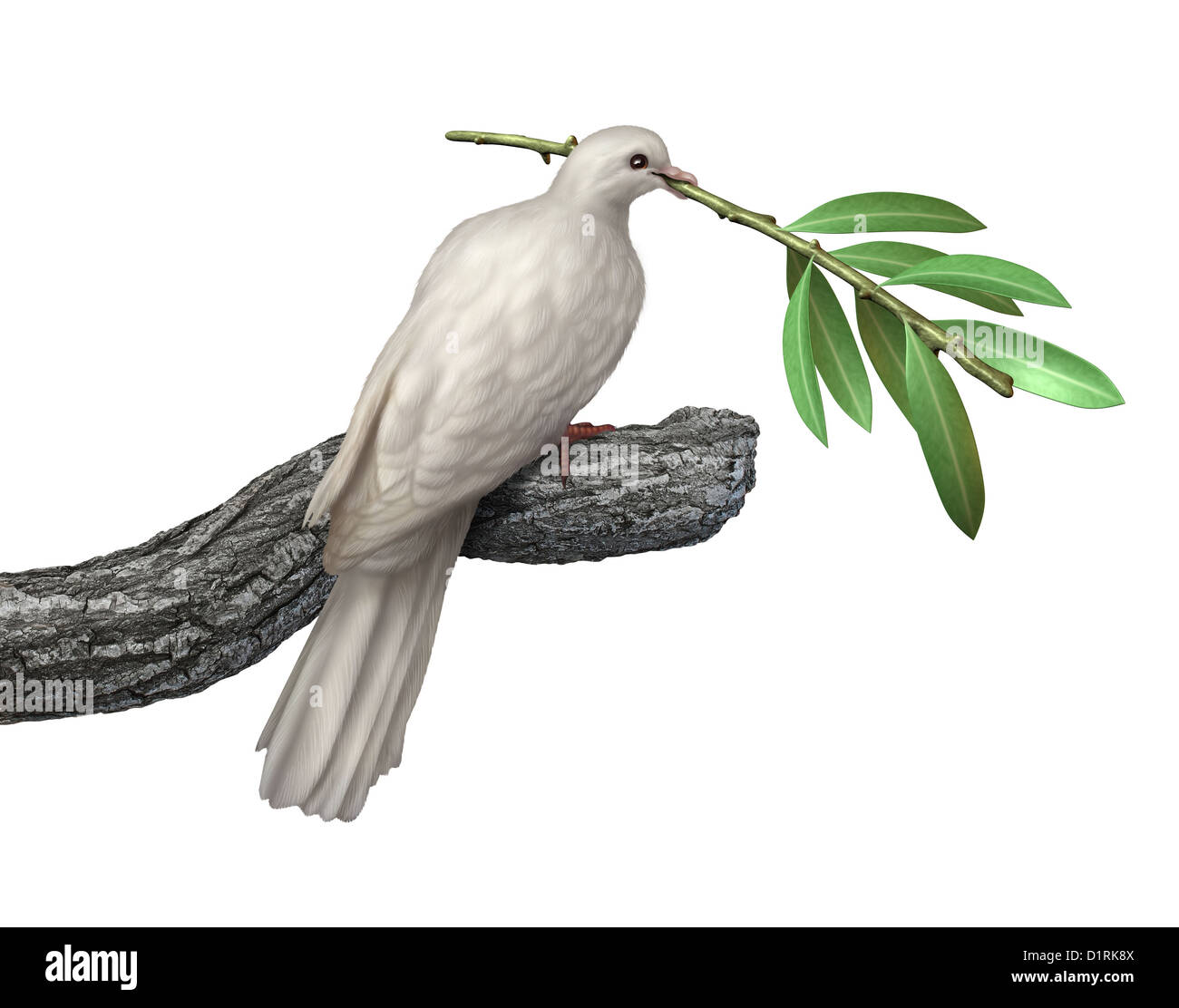 Taube mit einem Olivenzweig isoliert auf einem weißen Hintergrund als Symbol des Friedens und der Ruhe und der Hoffnung für die Zukunft der Menschheit auf dem Weg der Menschenrechte und Freiheit. Stockfoto