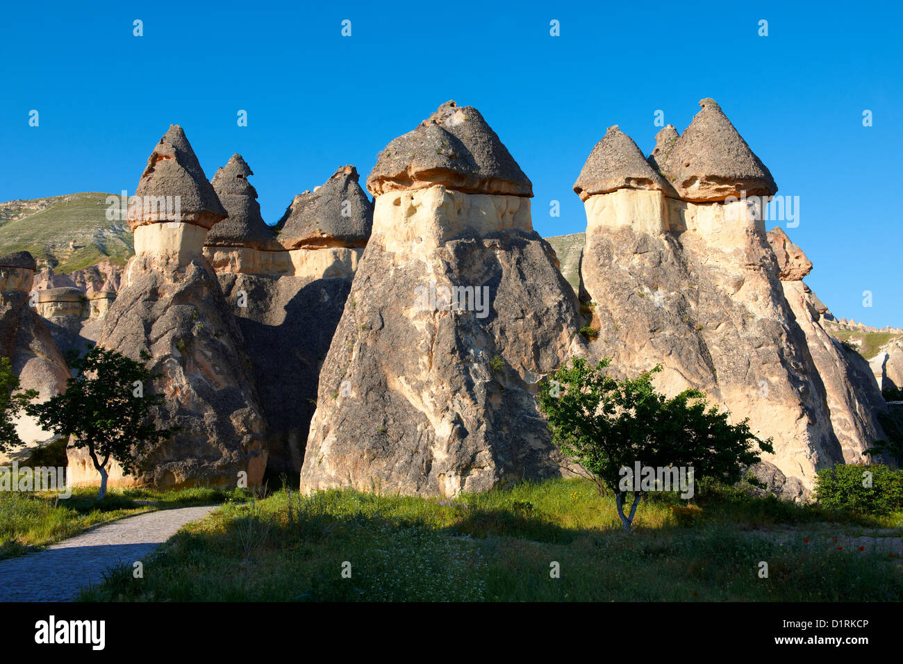 Bilder & Bilder von den Feen Schornsteinfelsen und Felssäulen des „Pasabag Valley“ bei Goreme, Kappadokien, Nevsehir, Türkei Stockfoto