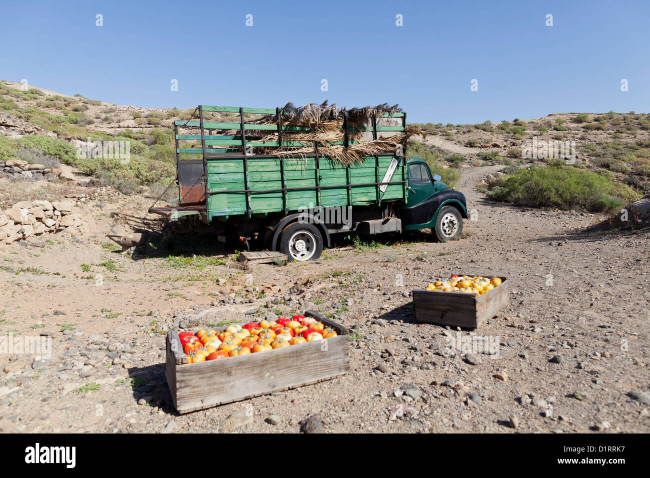 Alten Tomaten Lkw verlassen im Naturschutzgebiet im Sandos San Blas Resort auf Teneriffa, Kanarische Inseln, Spanien. Stockfoto