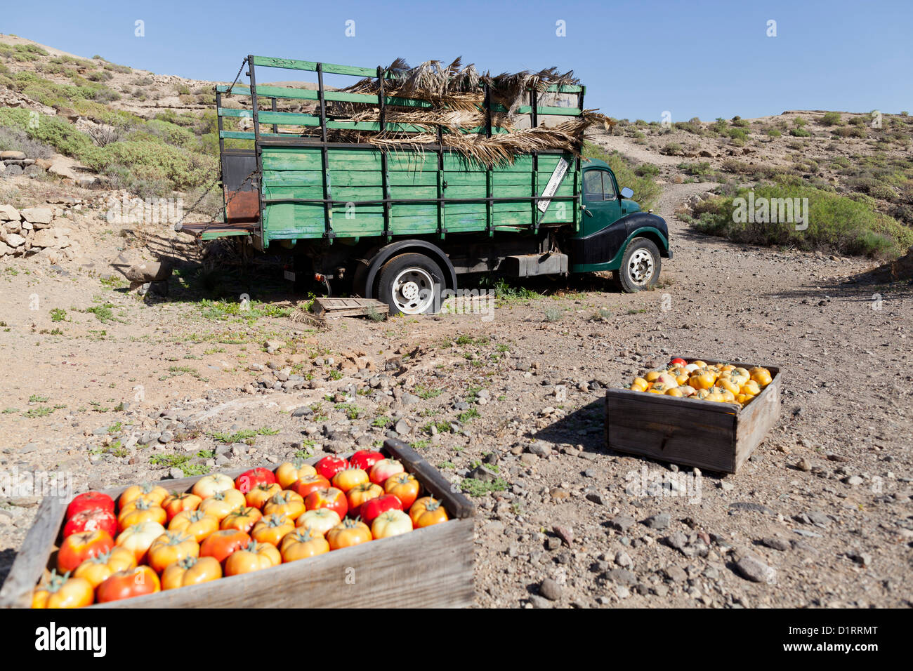 Alten Tomaten Lkw verlassen im Naturschutzgebiet im Sandos San Blas Resort auf Teneriffa, Kanarische Inseln, Spanien. Stockfoto