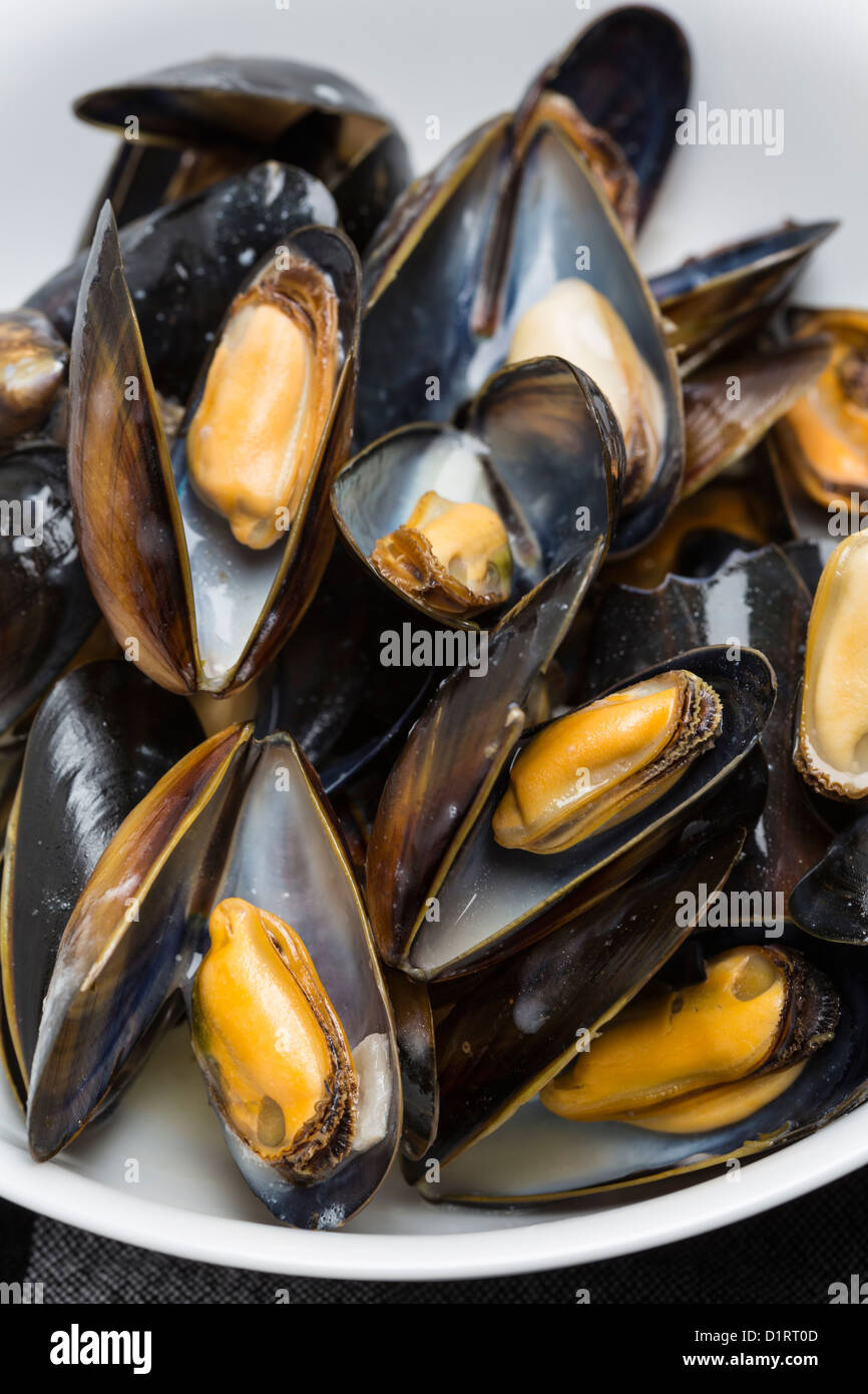 Gericht aus Muscheln Stockfoto