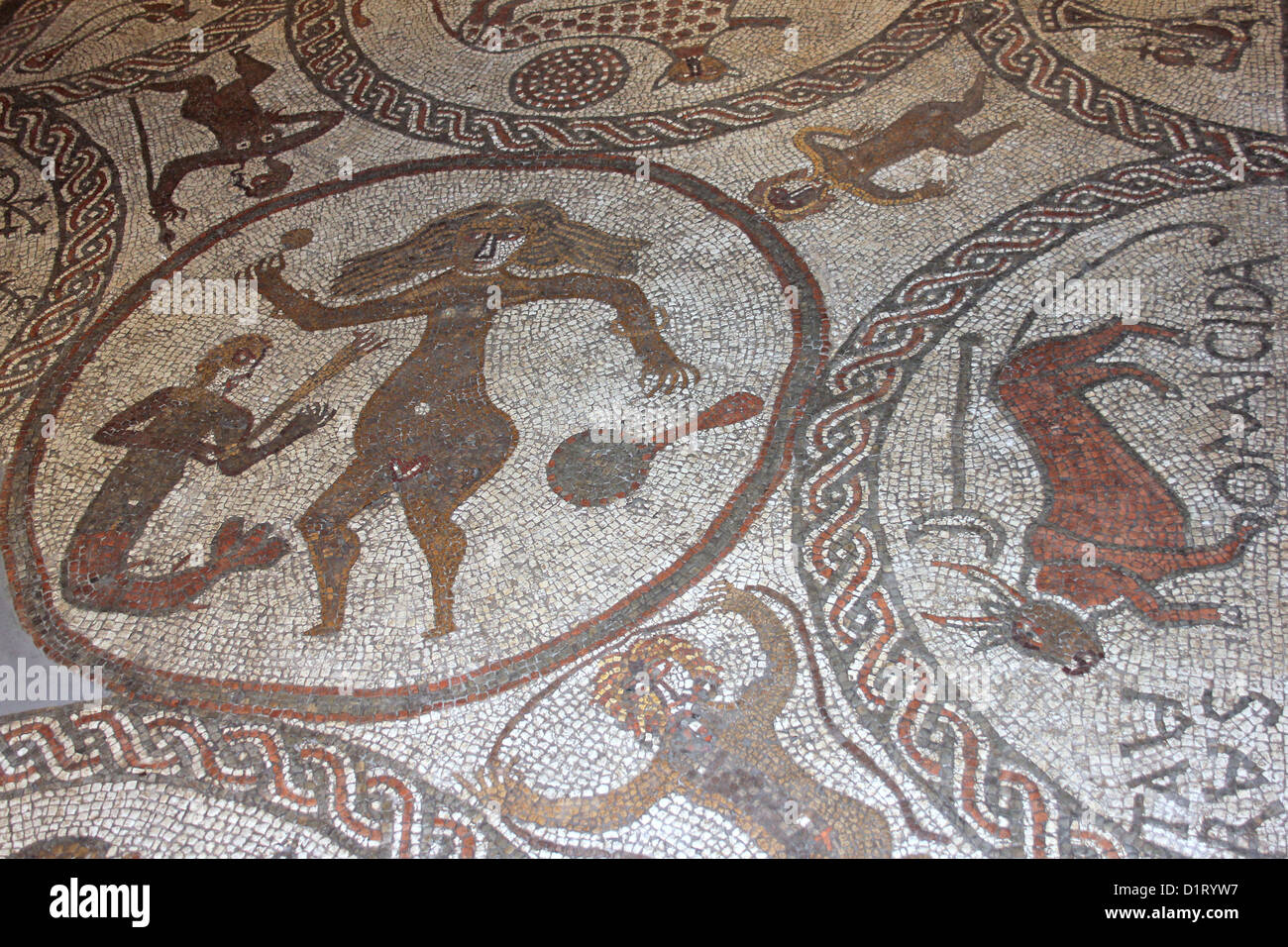 Das Venus-Mosaik in einer römischen Villa in der Nähe von Rudston, East Yorkshire entdeckt. Stockfoto