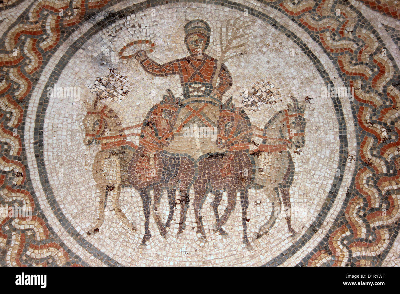 Der Wagenlenker Mosaik gefunden im 4. Jahrhundert n. Chr. römische Villa in der Nähe von Rudston, East Yorkshire Stockfoto