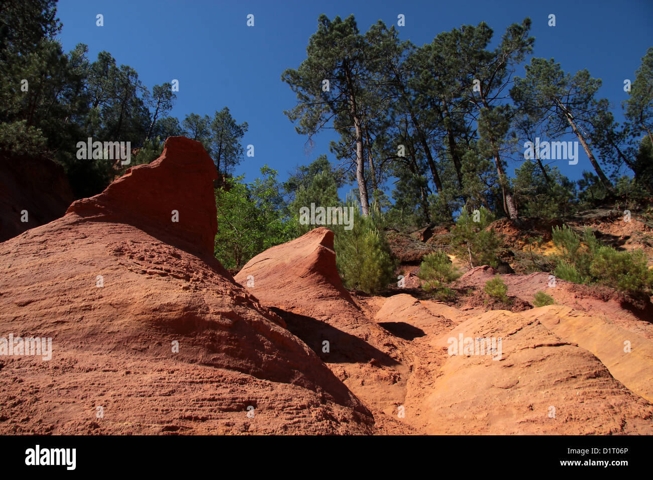 Ockerfarbenen Felsen des Roussillon im Luberon, Provence, Frankreich Stockfoto