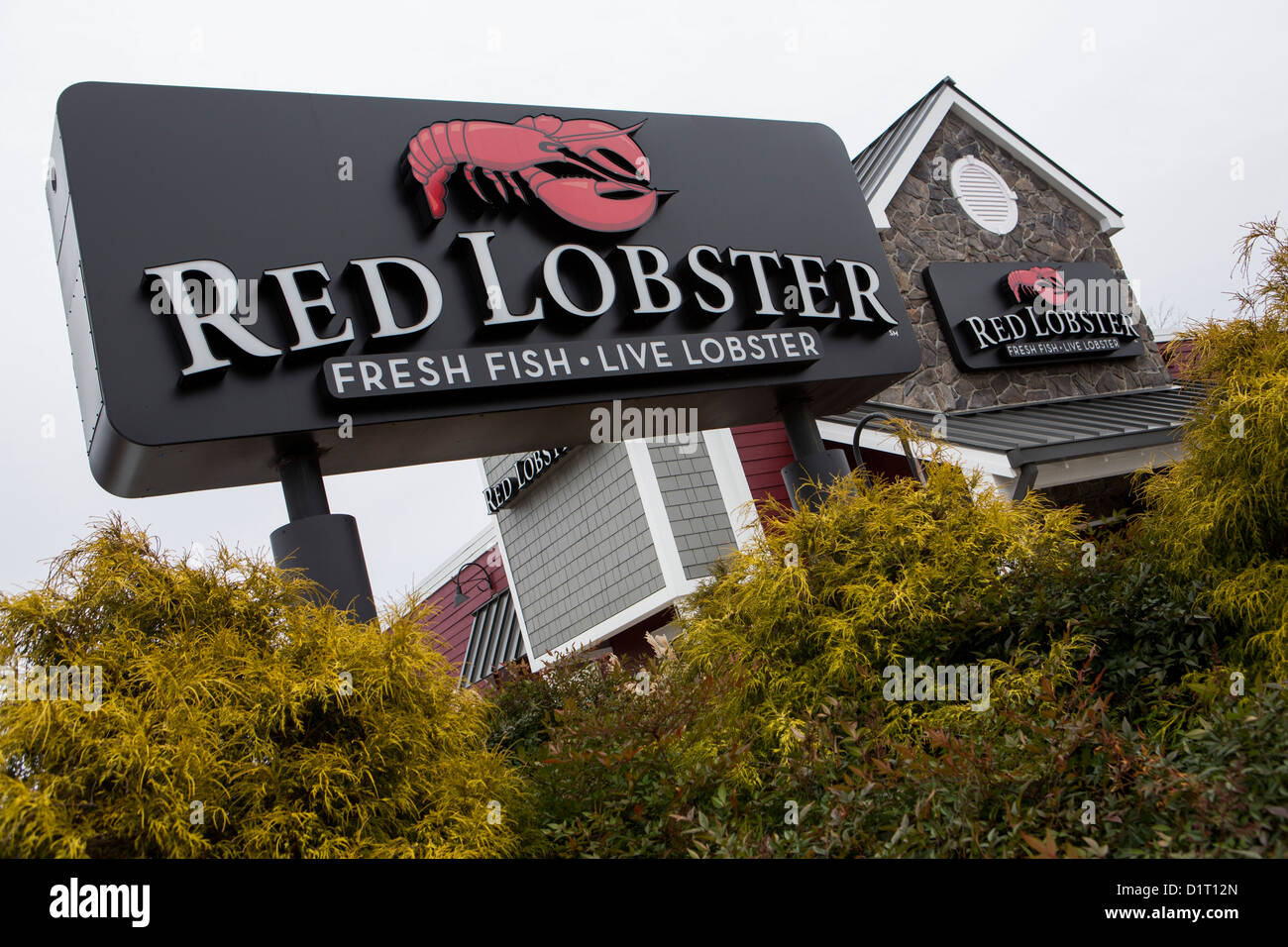 Ein Red Lobster Meeresfrüchte legeres Kette Restaurant. Stockfoto
