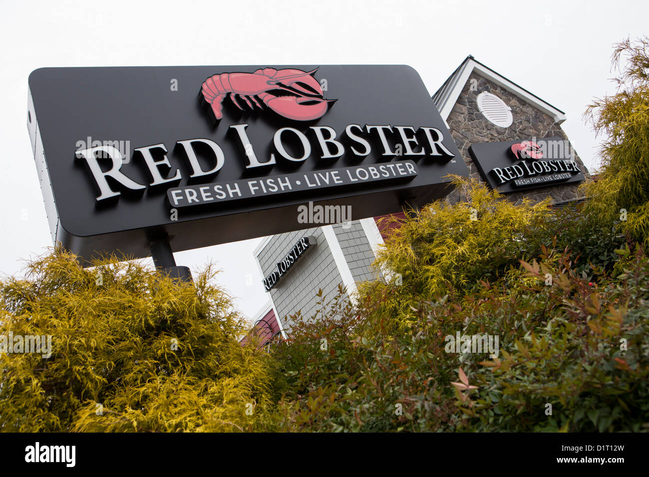 Ein Red Lobster Meeresfrüchte legeres Kette Restaurant. Stockfoto