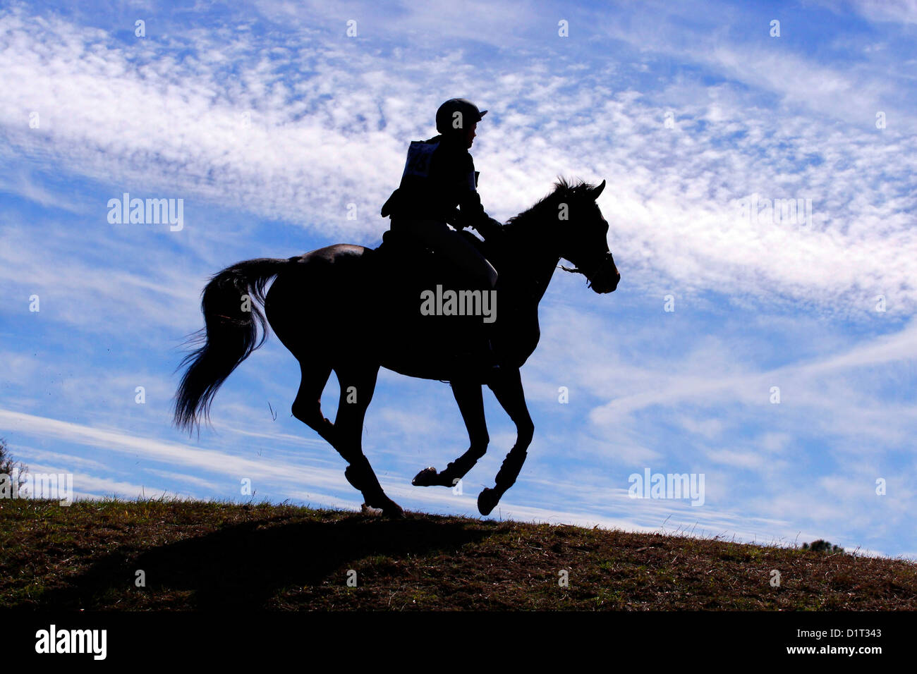 Pferd Und Reiter Silhouette Gegen Den Himmel Im Galopp Pferd Tritt Sich Schmutz Und Rasen Stockfotografie Alamy