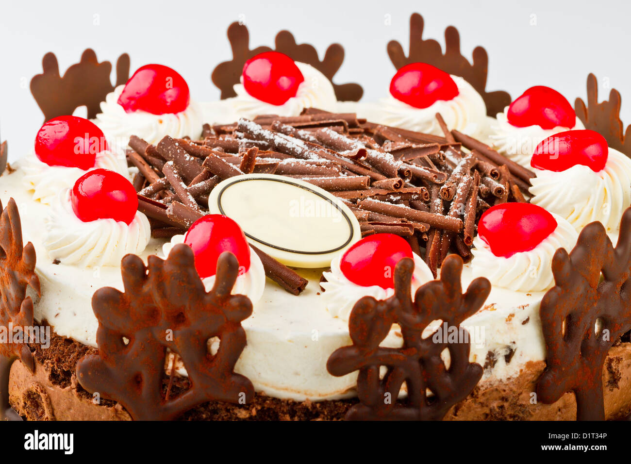 Schokolade Kuchen mit frischen Kirsche isoliert auf weißem Hintergrund Stockfoto