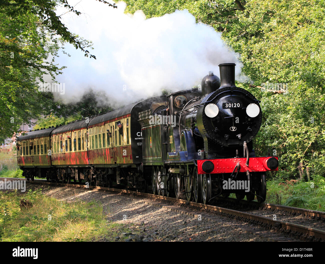 Die Drummond-T9 4-4-0 Nr. 30120 Lok dampft durch Trimpley, Severn Valley Railway Stockfoto