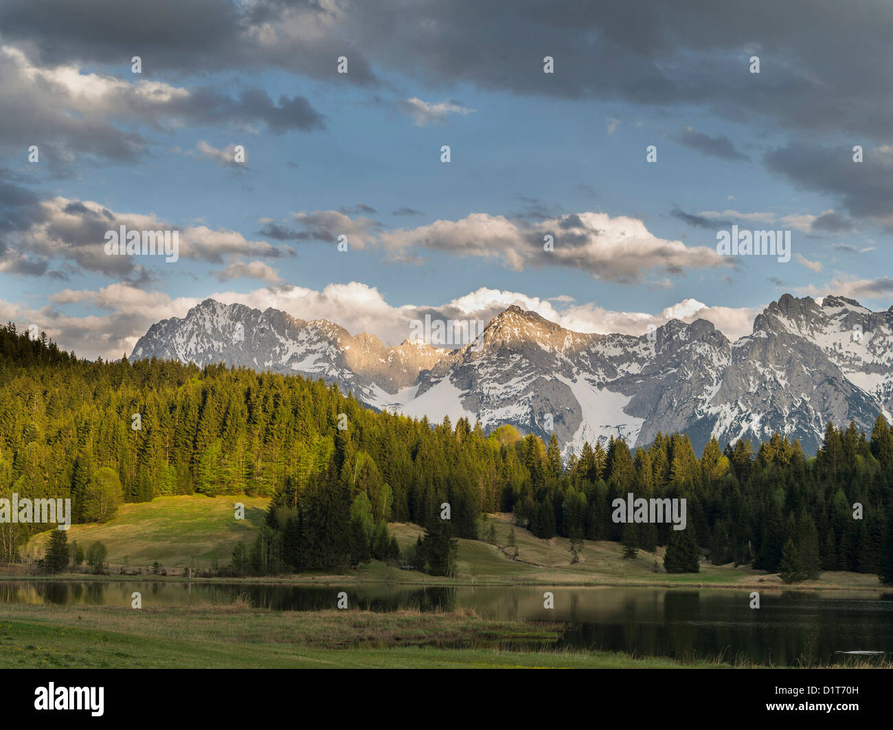 Die grüne Weide Kontraste mit Schnee bedeckt Gipfel der westlichen Karwendelgebirge überragt Mittenwald. Bayern Stockfoto