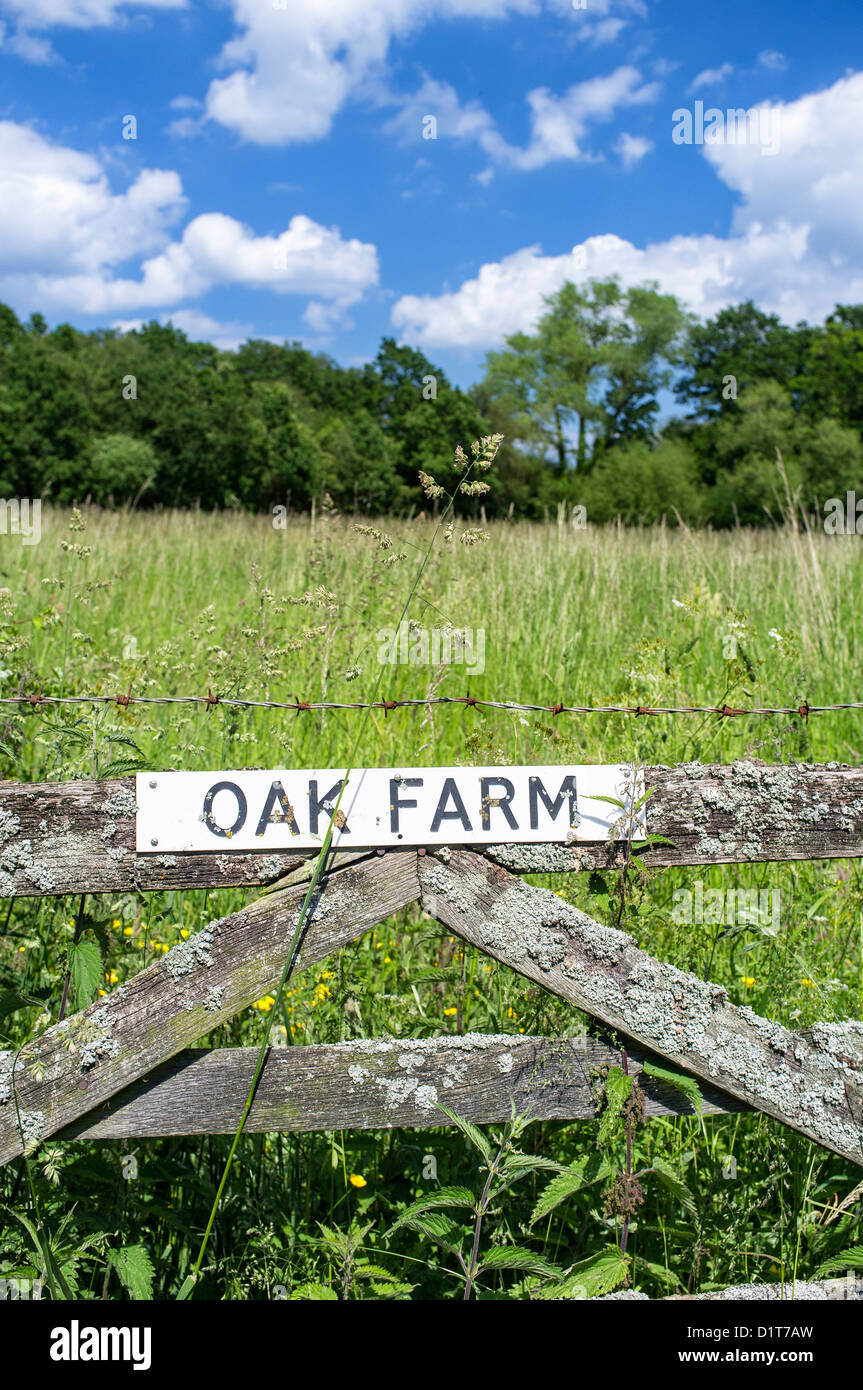 Alte Hof und Heu Wiese Norfolk UK Stockfoto