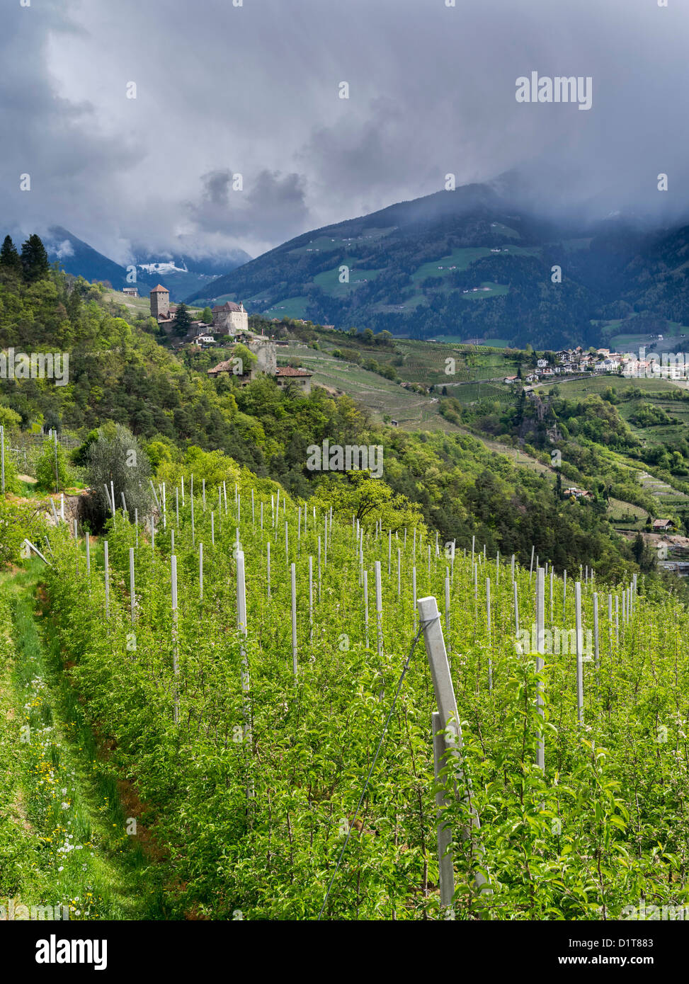 Tirol (oder Tirol) Burg in der Nähe von Meran in Südtirol. Es ist eine Touristenattraktion und ein Museum. Italien, Südtirol. Stockfoto