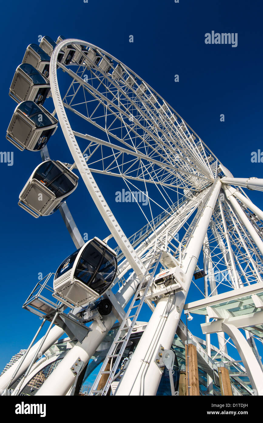 Die Seattle Great Wheel Riesenrad am Pier 57, Seattle, Washington, USA Stockfoto