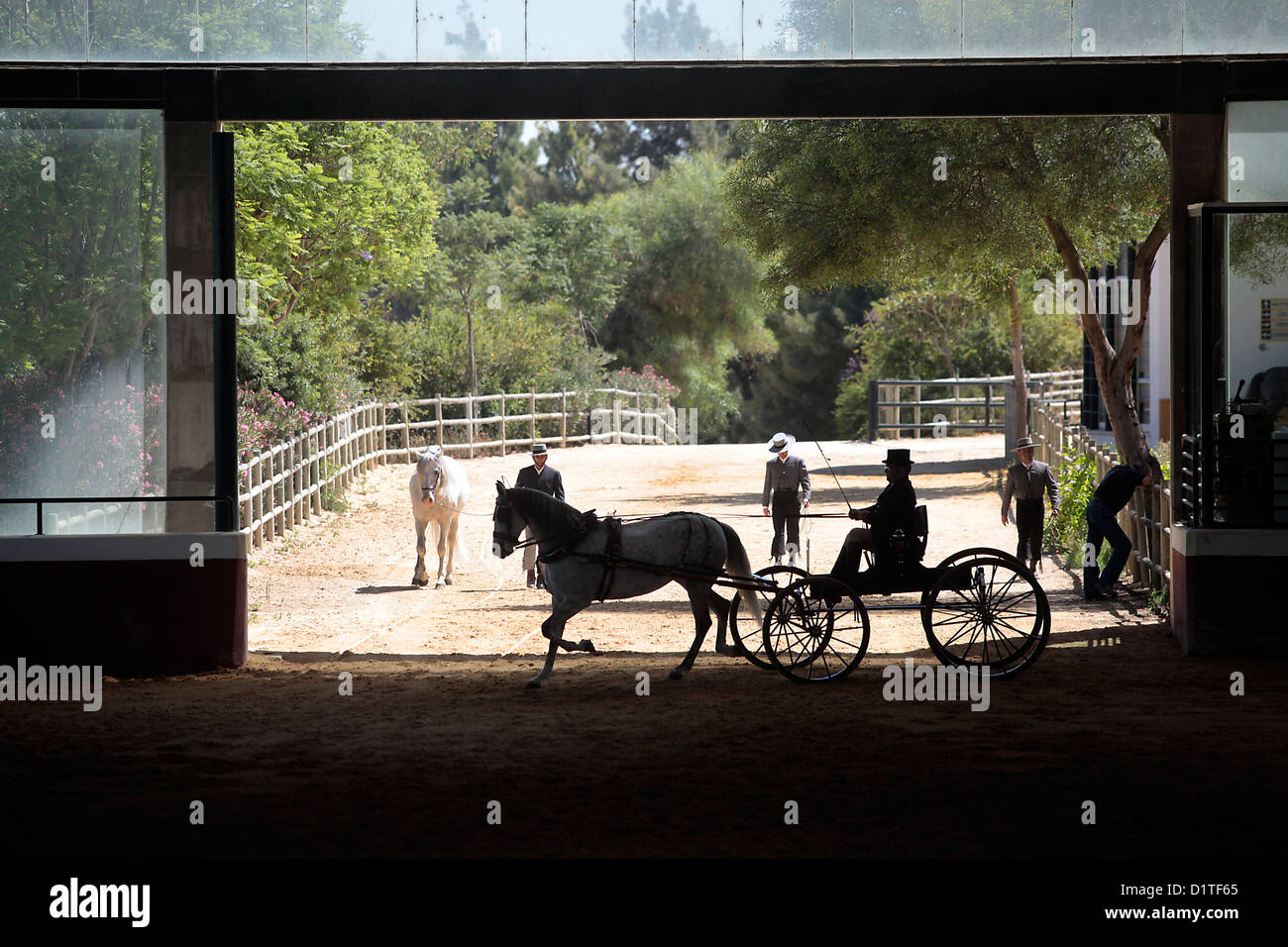 Jerez De La Frontera, Spanien, Pferde-Show auf dem Gestüt Yeguada De La Cartuja Stockfoto