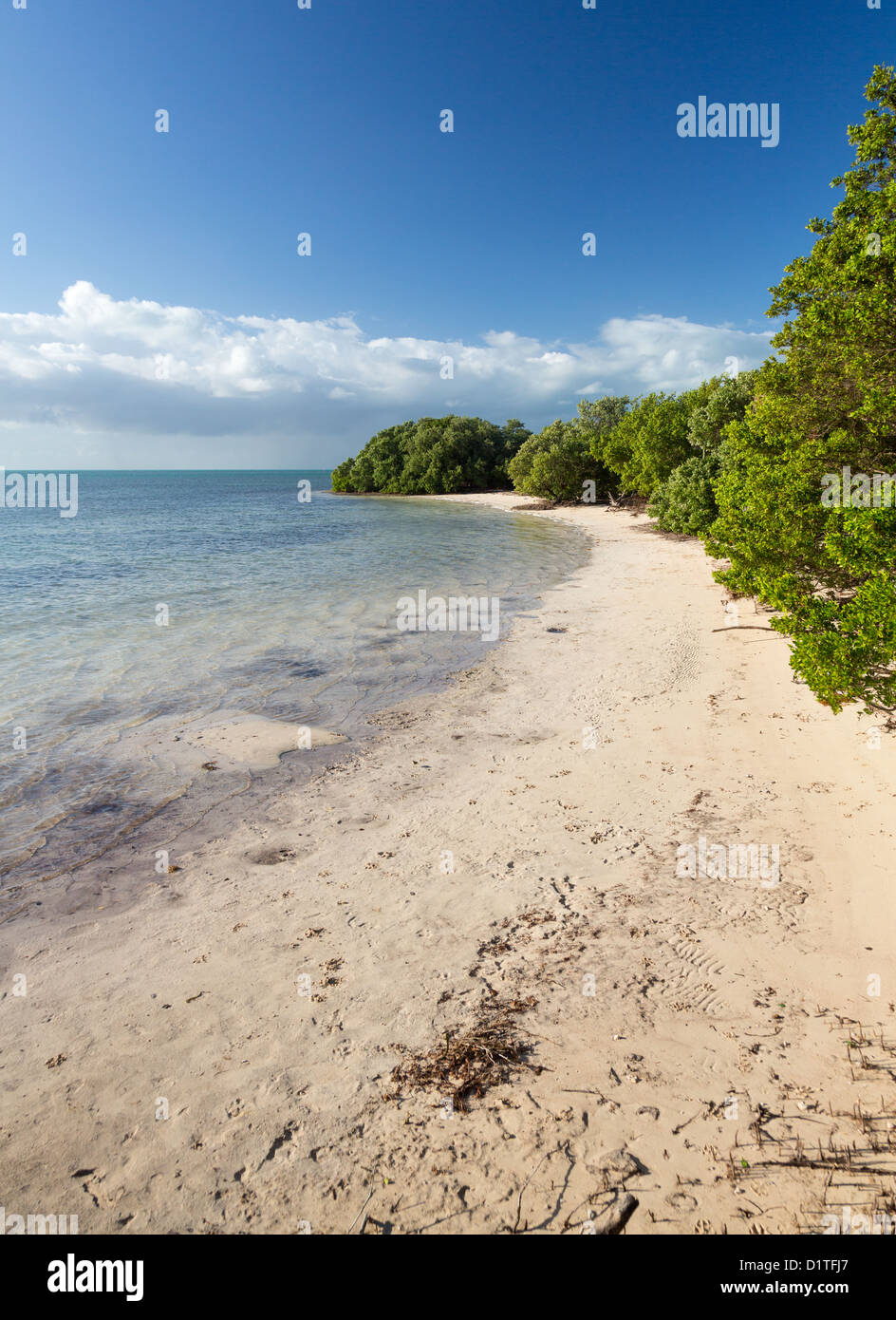 Annes Strand im unteren Roman Key, Florida Keys, USA Stockfoto