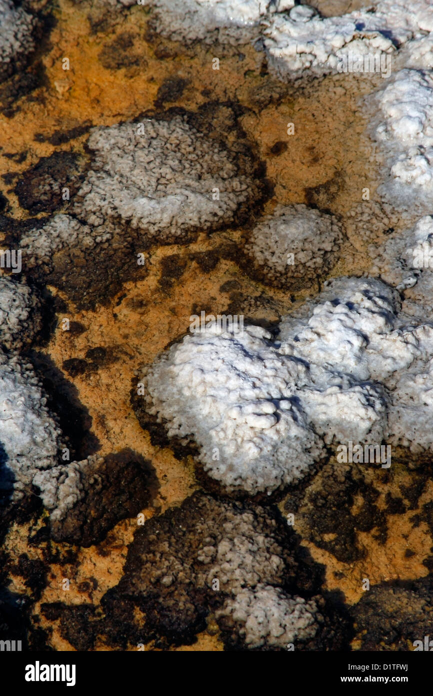 Badwater Basin, Death Valley Nationalpark, Kalifornien, USA Stockfoto