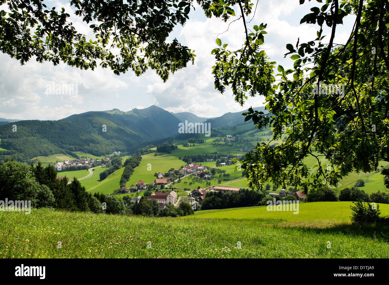 Oberried, Deutschland, mit Blick auf den Schwarzwald Oberried Stockfoto