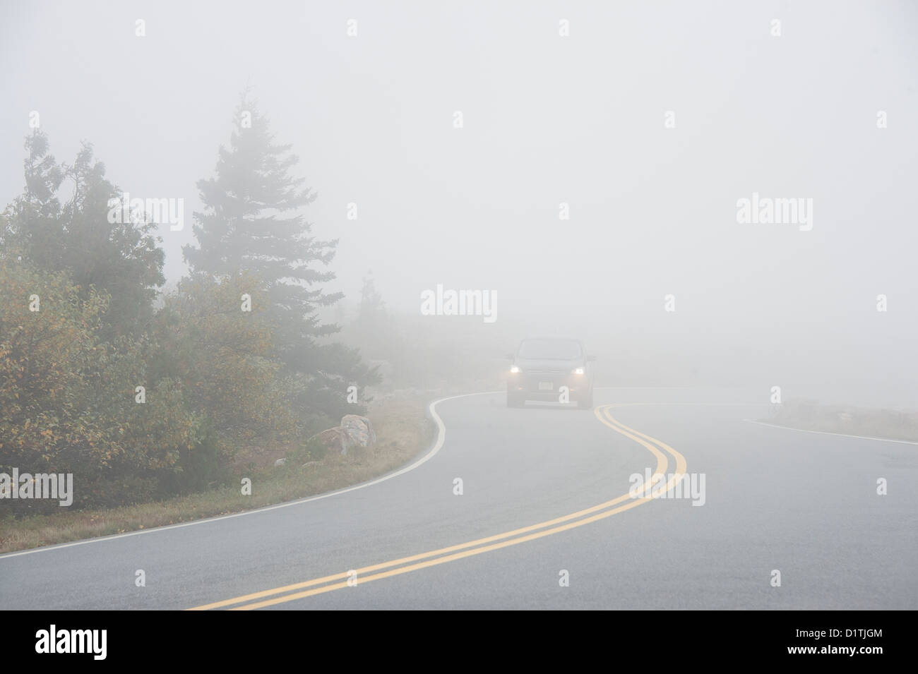 Fahren bei schlechten Sichtverhältnissen, Cadillac Mountain, Acadia National Park, Maine, USA Stockfoto