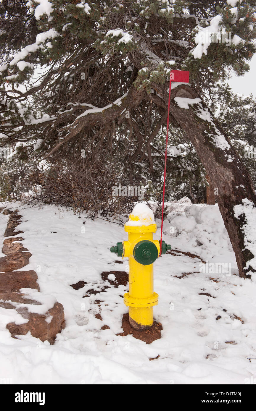 Ein Wildnisgebiet Feuer Hydrant mit visuellen Identifikation Fahnenmast für den Fall, dass Schnee bedeckt den Hydranten. Stockfoto