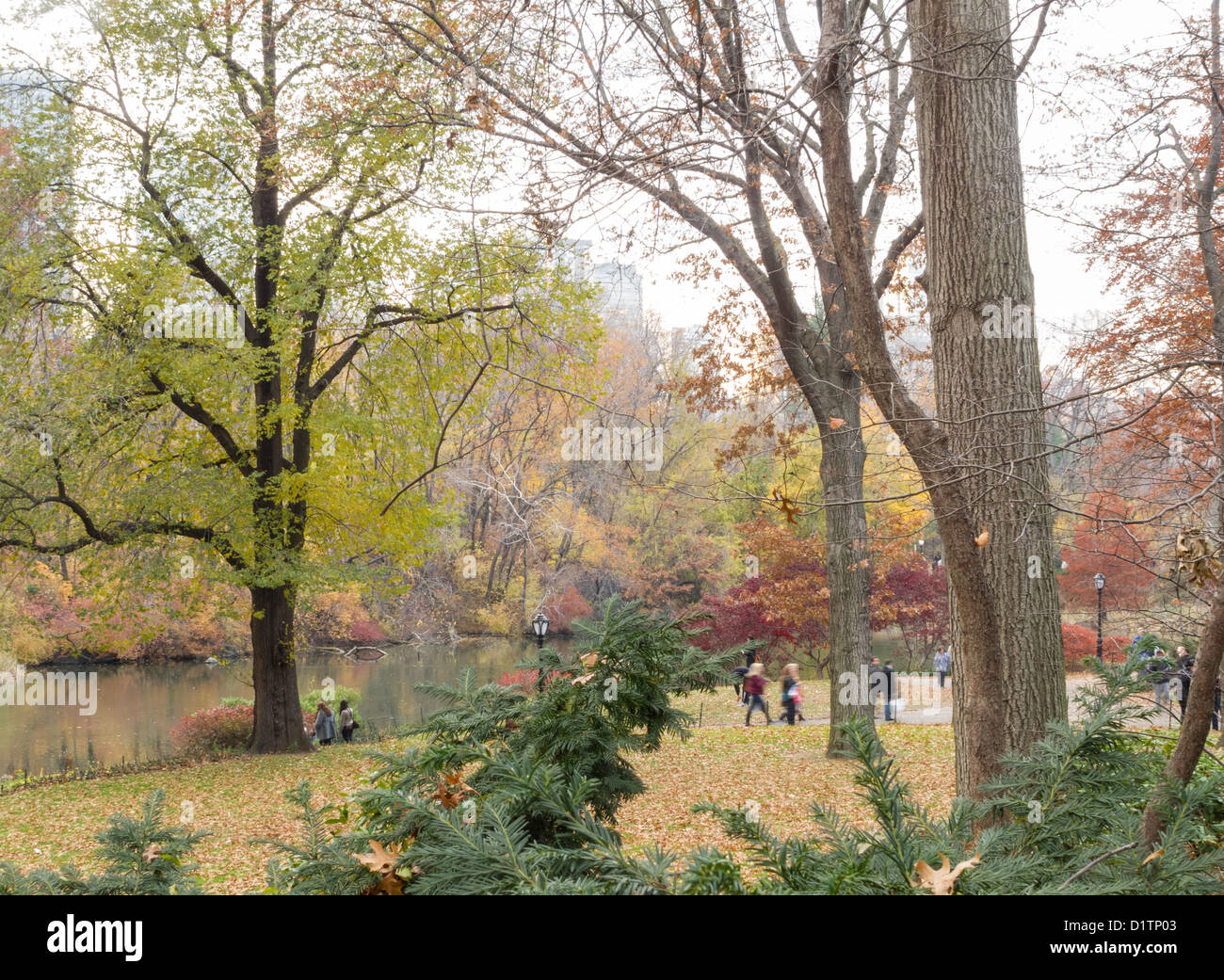 Central Park im Herbst, NYC Stockfoto