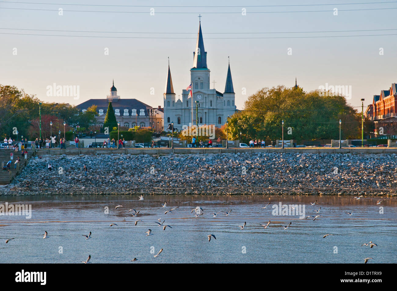 New Orleans Ansicht mit St. Louis Cathedral, Bundesstaat Louisiana, USA, Nordamerika Stockfoto