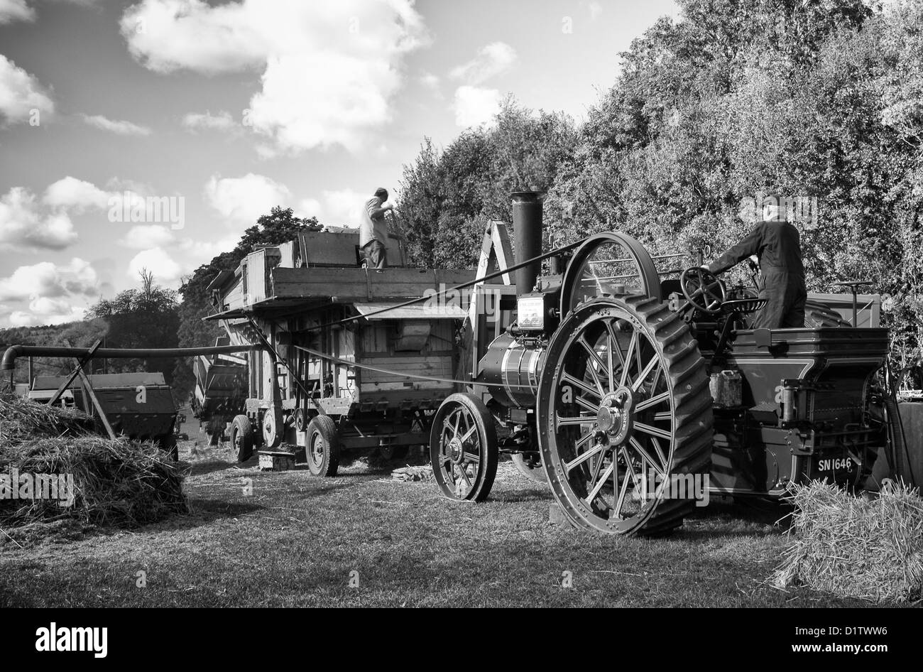 Dreschen die alte altmodische Weise am Singleton Weald und Downland Freilichtmuseum, in der Nähe von Chichester, West Sussex uk Stockfoto