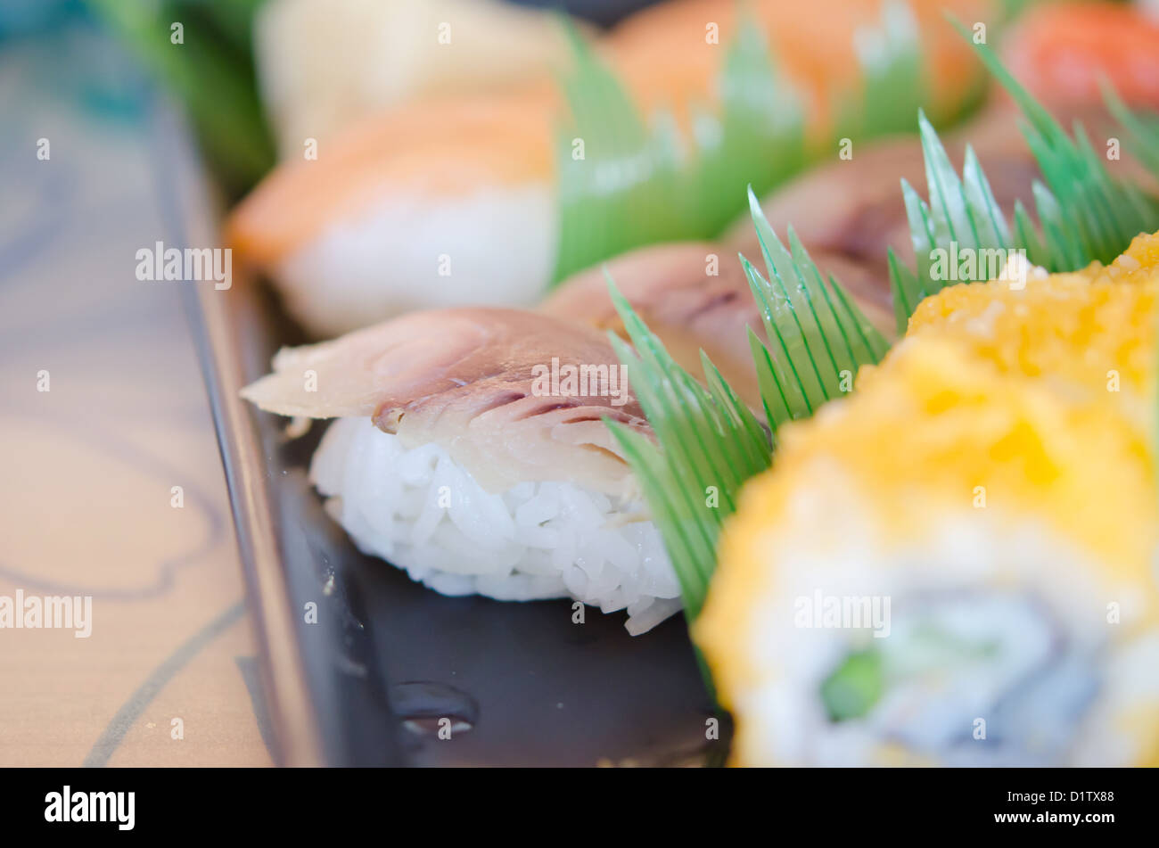 Großaufnahme Thunfisch Sushi, traditionell, frisches Sushi Stockfoto