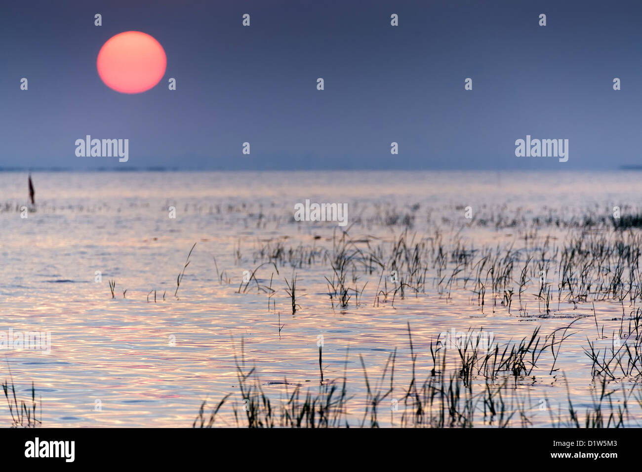 Sonnenaufgang am tropischen See, Thailand, geringe Schärfentiefe Stockfoto