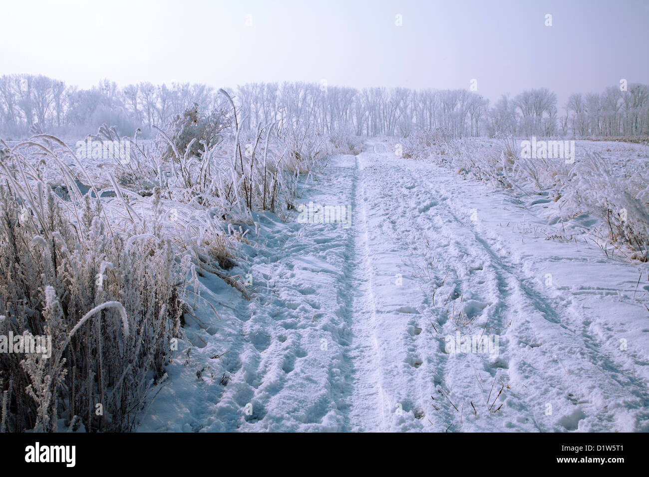 Winter in der Landschaft - west - Slowakei Stockfoto