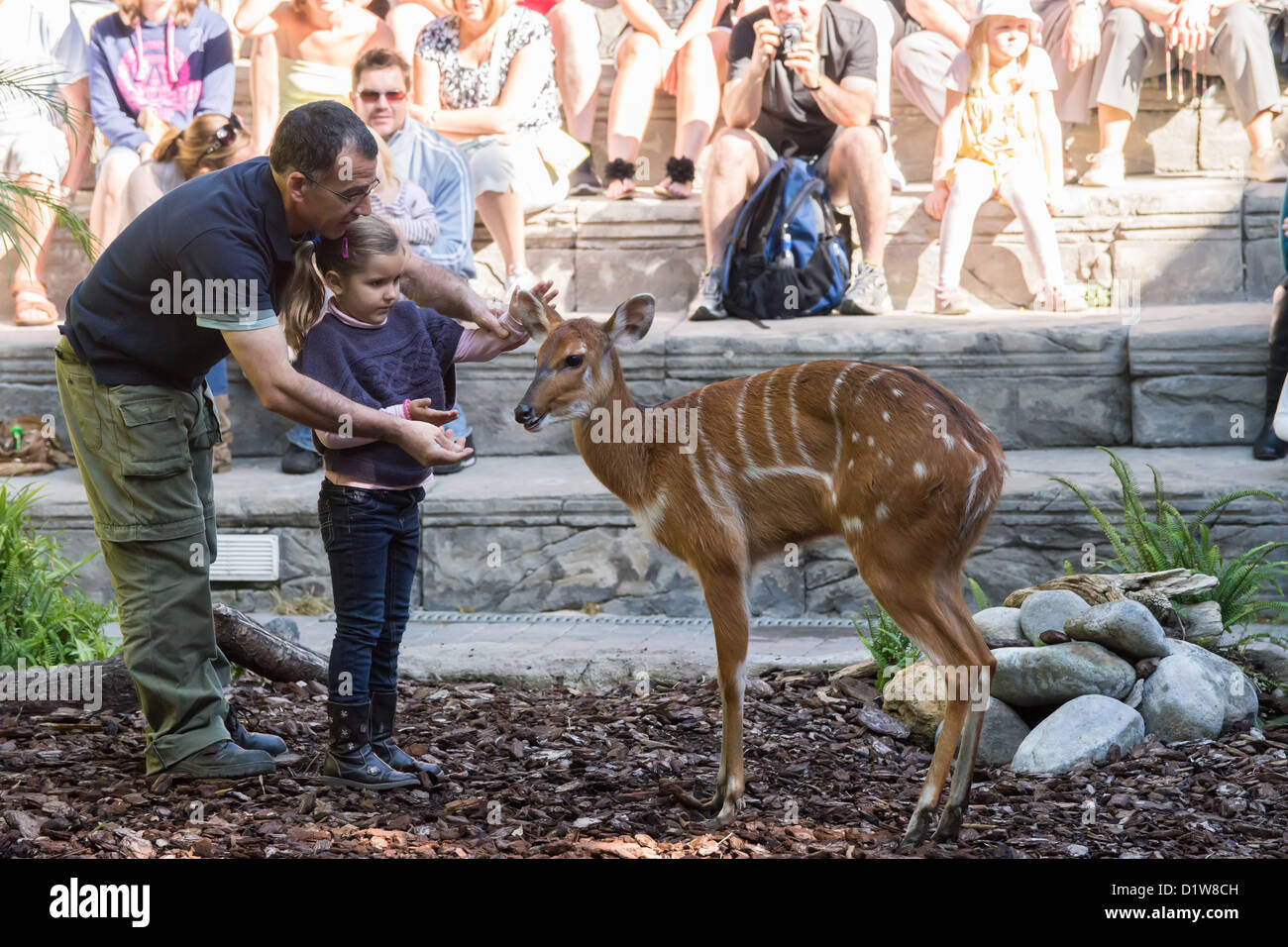 Spanien, Andalusien - Fuengirola BioPark Zoo. Tier-show, Kind und Halter, Tiere füttern. Stockfoto