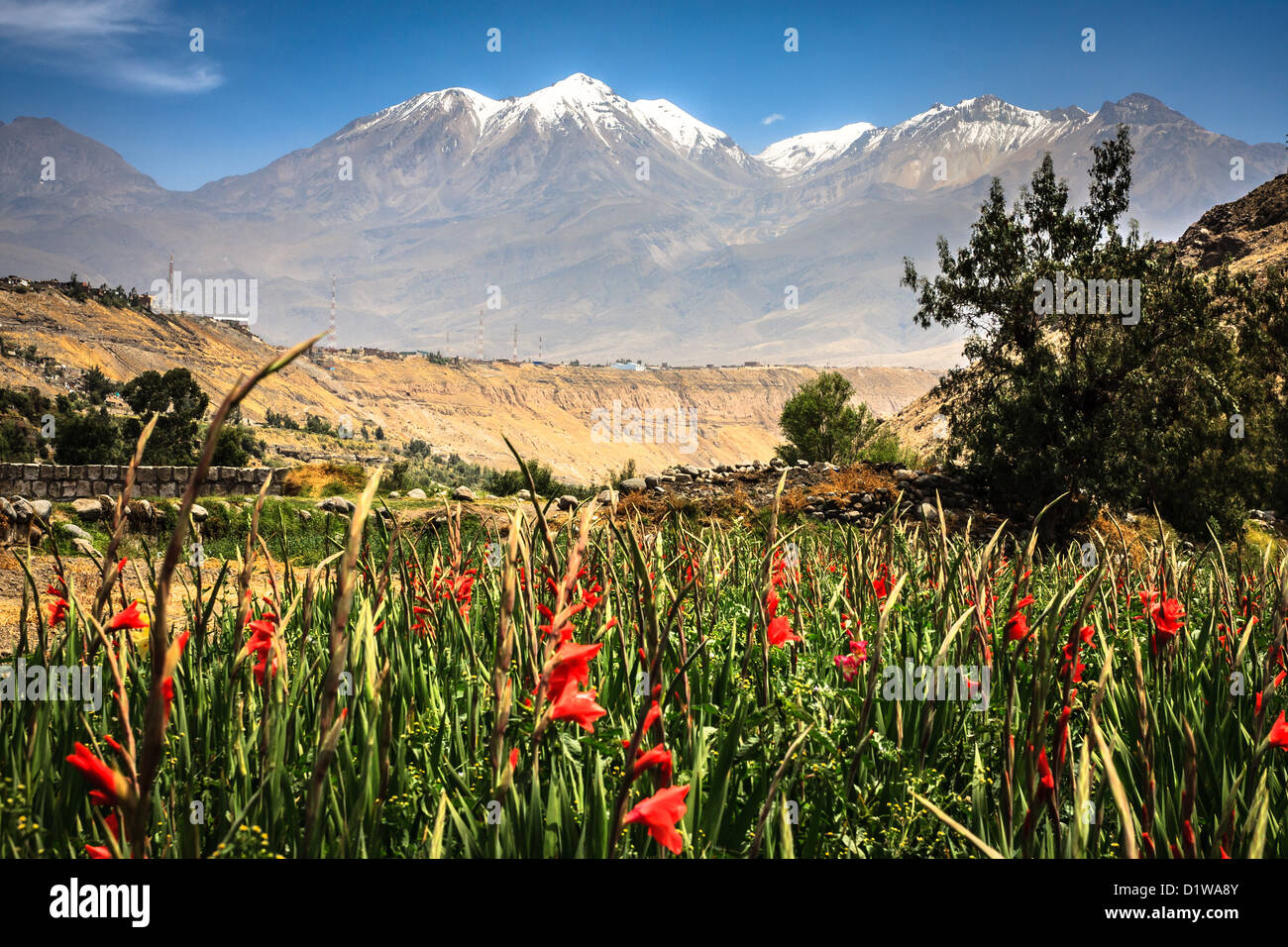 Blick auf Vulkan Chachani aus, Chili Flusstal, Abteilung Arequipa im Süden Perus Stockfoto