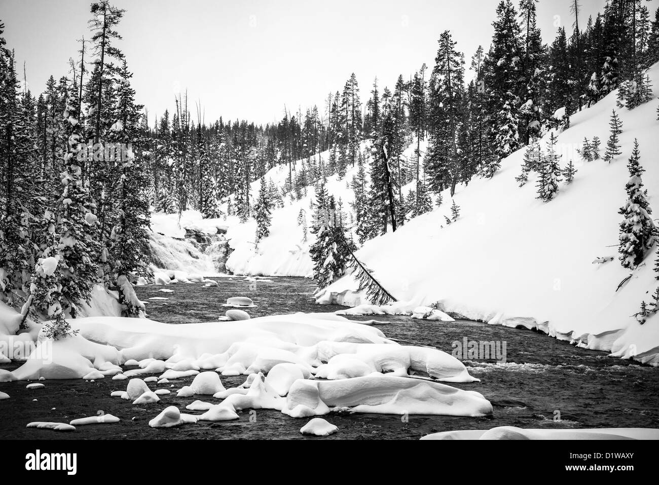 Fluss im Winter, Yellowstone-Nationalpark Stockfoto