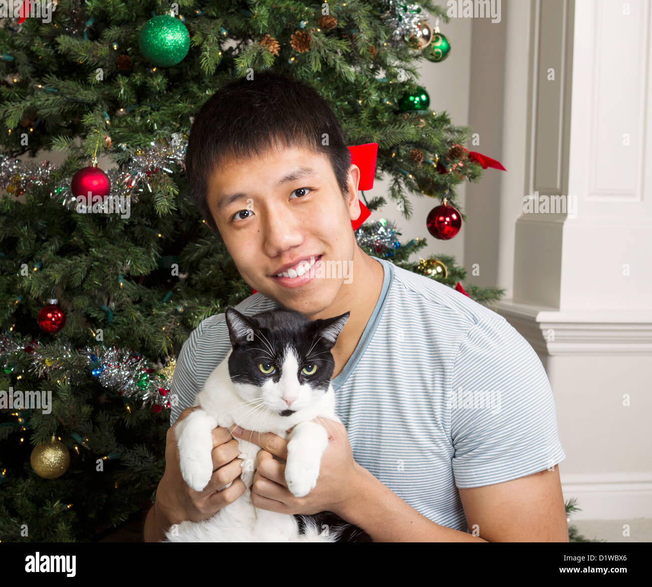 Jungen Erwachsenen Mannes und alte Familienkatze mit Weihnachtsbaum im Hintergrund Stockfoto