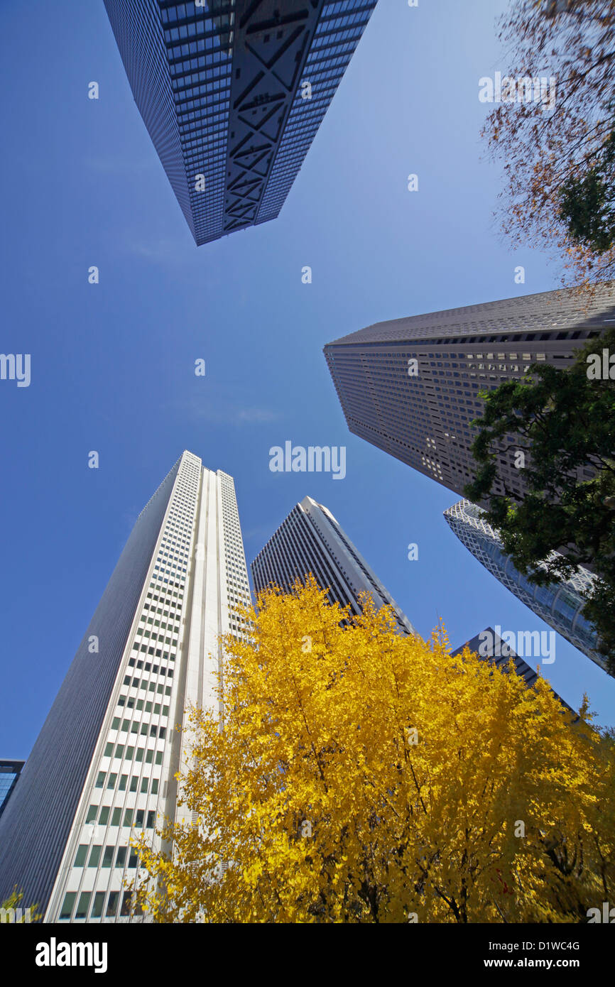 Wolkenkratzer Nishi-Shinjuku in Shinjuku-Tokio Stockfoto