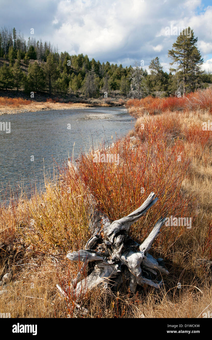 Salmon River südlich von Stanley, Idaho, Herbst 2012. Stockfoto