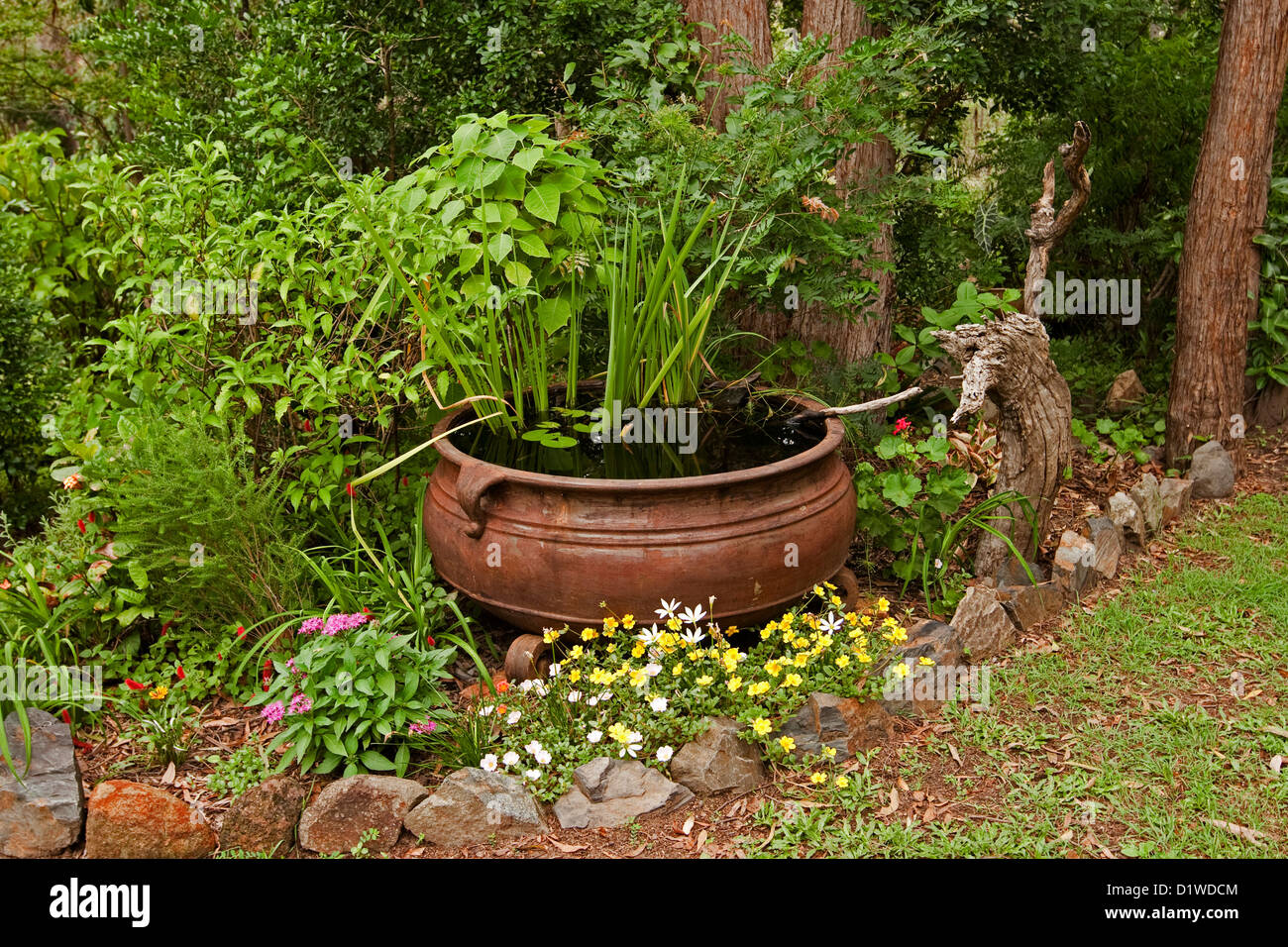 Großen rostigen Kessel - Fisch-Teich / Garten Wasserspiel mit Wasserpflanzen Pflanzen und umgeben von bunten Blumen und Sträuchern Stockfoto