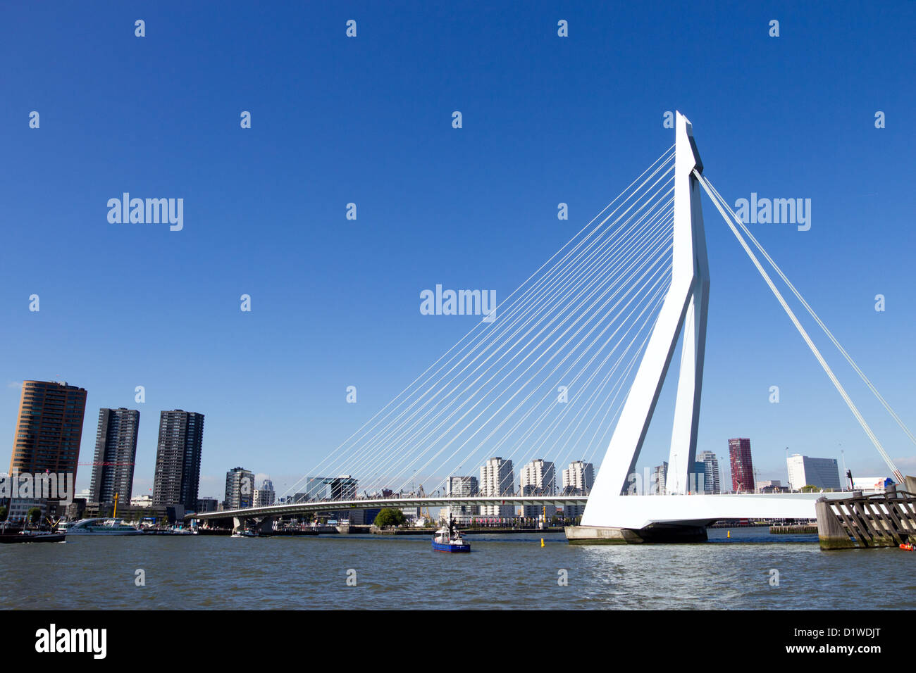 Erasmusbrücke in Rotterdam. Die Niederlande Stockfoto