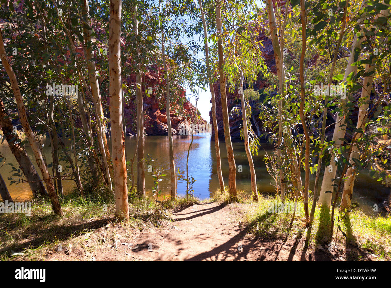 Ellery Creek große Wasser Loch Western MacDonnell Ranges Zentralaustralien Stockfoto