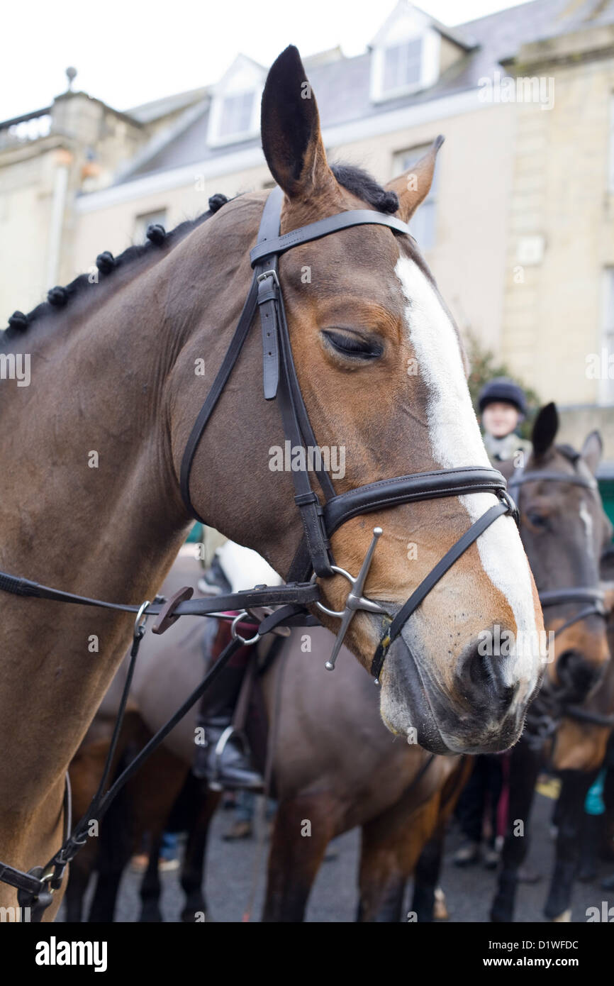 Jäger von der Heythope Jagd Boxing Day treffen sich bei Chipping Norton Oxfordshire-England Stockfoto