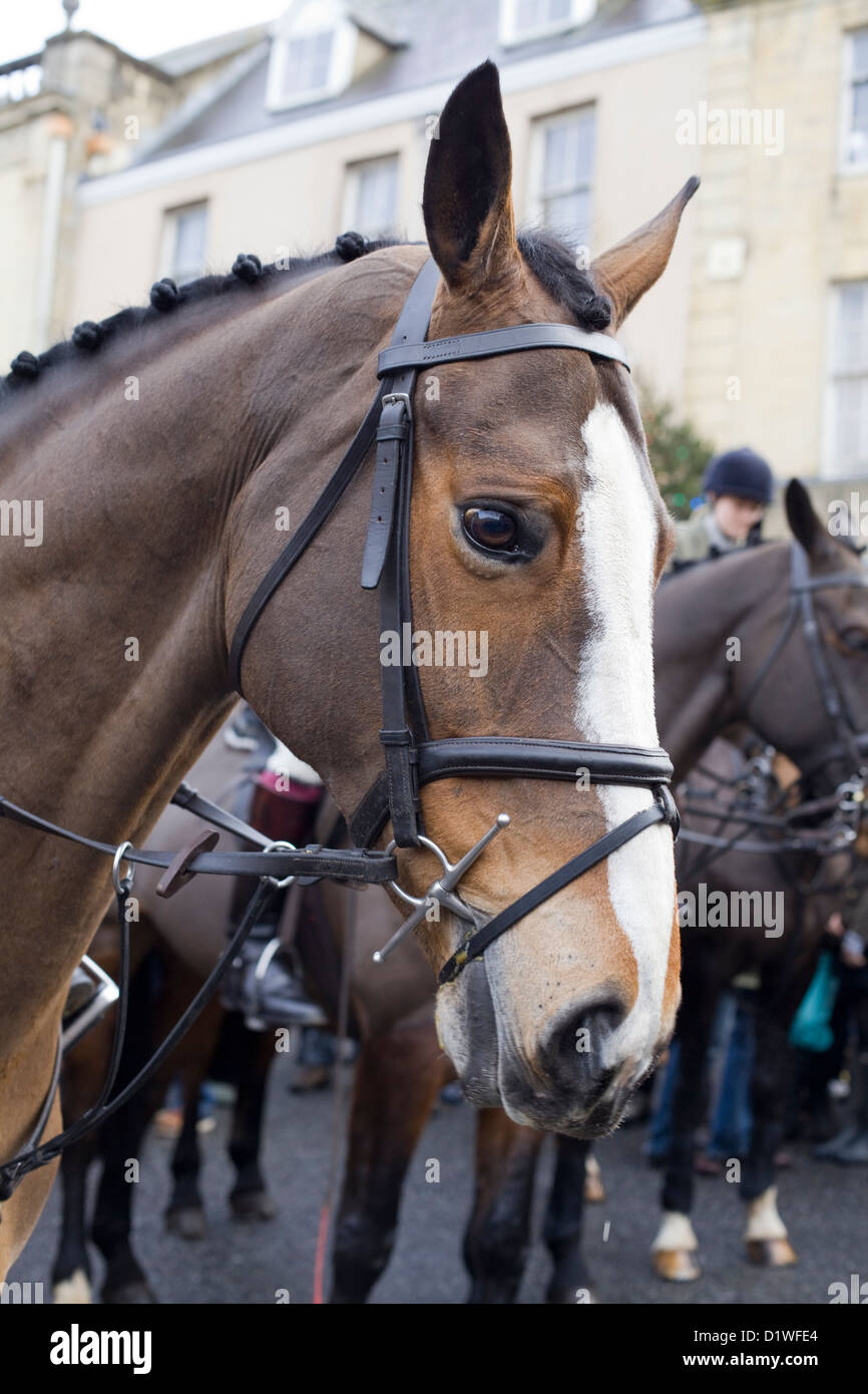 Jäger von der Heythope Jagd Boxing Day treffen sich bei Chipping Norton Oxfordshire-England Stockfoto
