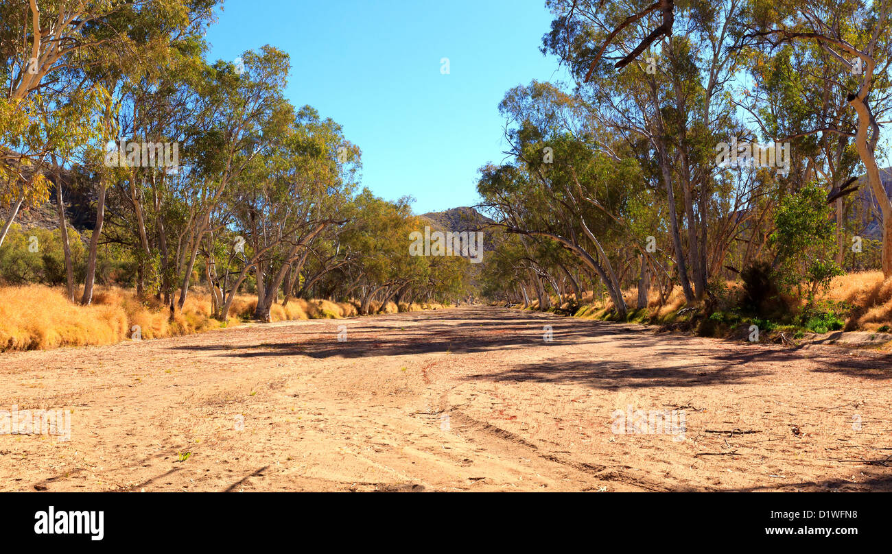 Trockenen sandigen Bachbett in East MacDonnell Ranges, Zentral-Australien Stockfoto