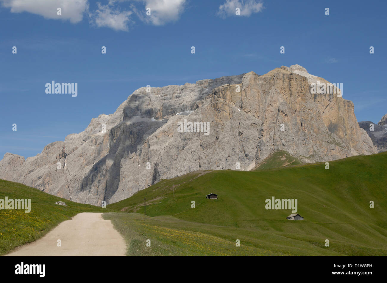 Sella Gruppe von Mountain Dew Salei, Passo Sella, Canazei, Dolomiti, Bozen Stockfoto