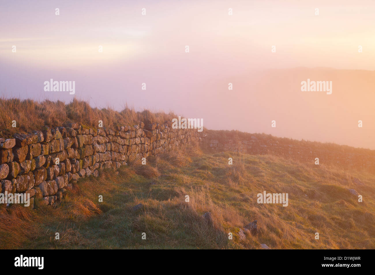 Hadrians Wall Nebel. Stahl-Rigg, Northumbria, (Northumberland), England, Vereinigtes Königreich. Stockfoto
