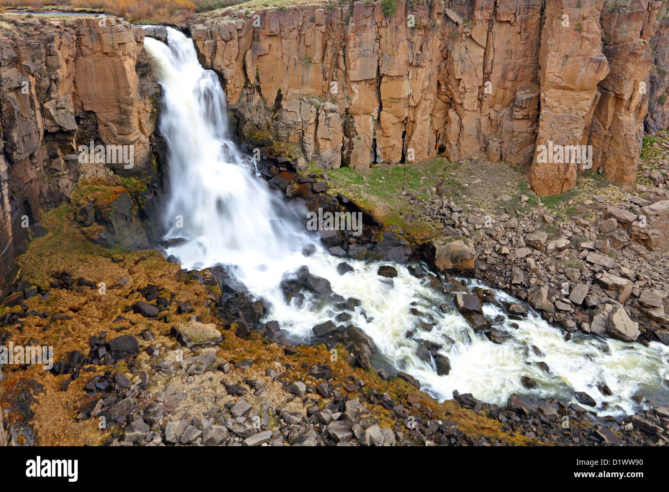 Klar, North Creek Falls, Spring Creek Pass, südlich von Gunnison, Colorado, USA Stockfoto