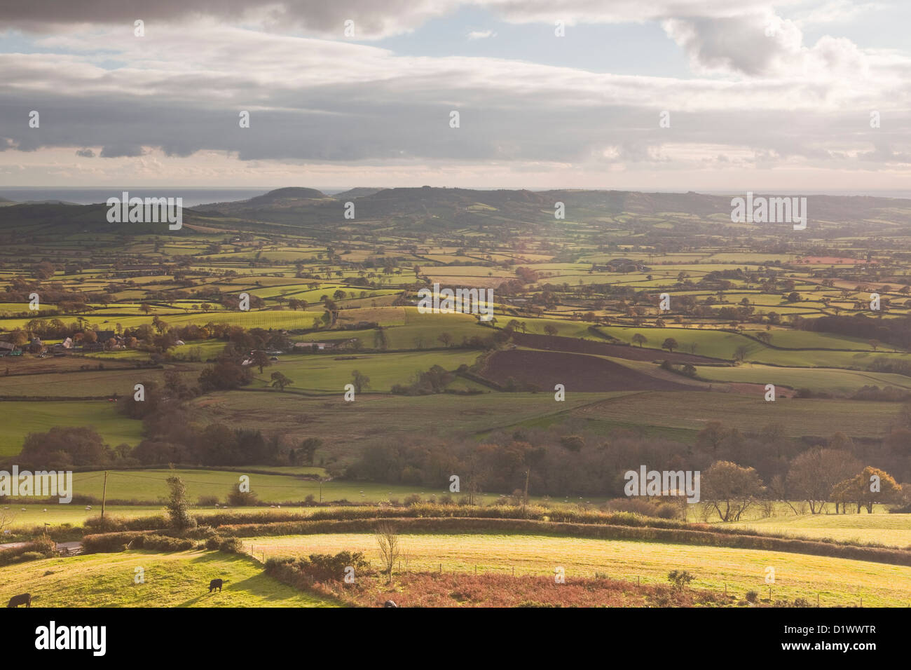 Die Marshwood Vale in Dorset unter einem vorbeifahrenden Sturm. Stockfoto