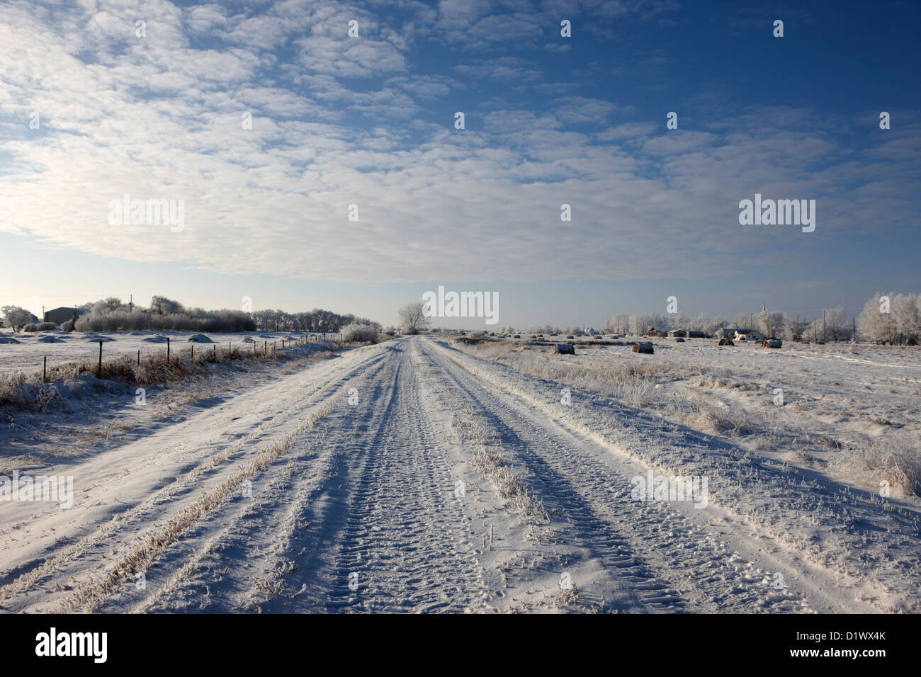 schneebedeckte unbehandelten kleine Landstraße in Forget Saskatchewan Kanada Stockfoto