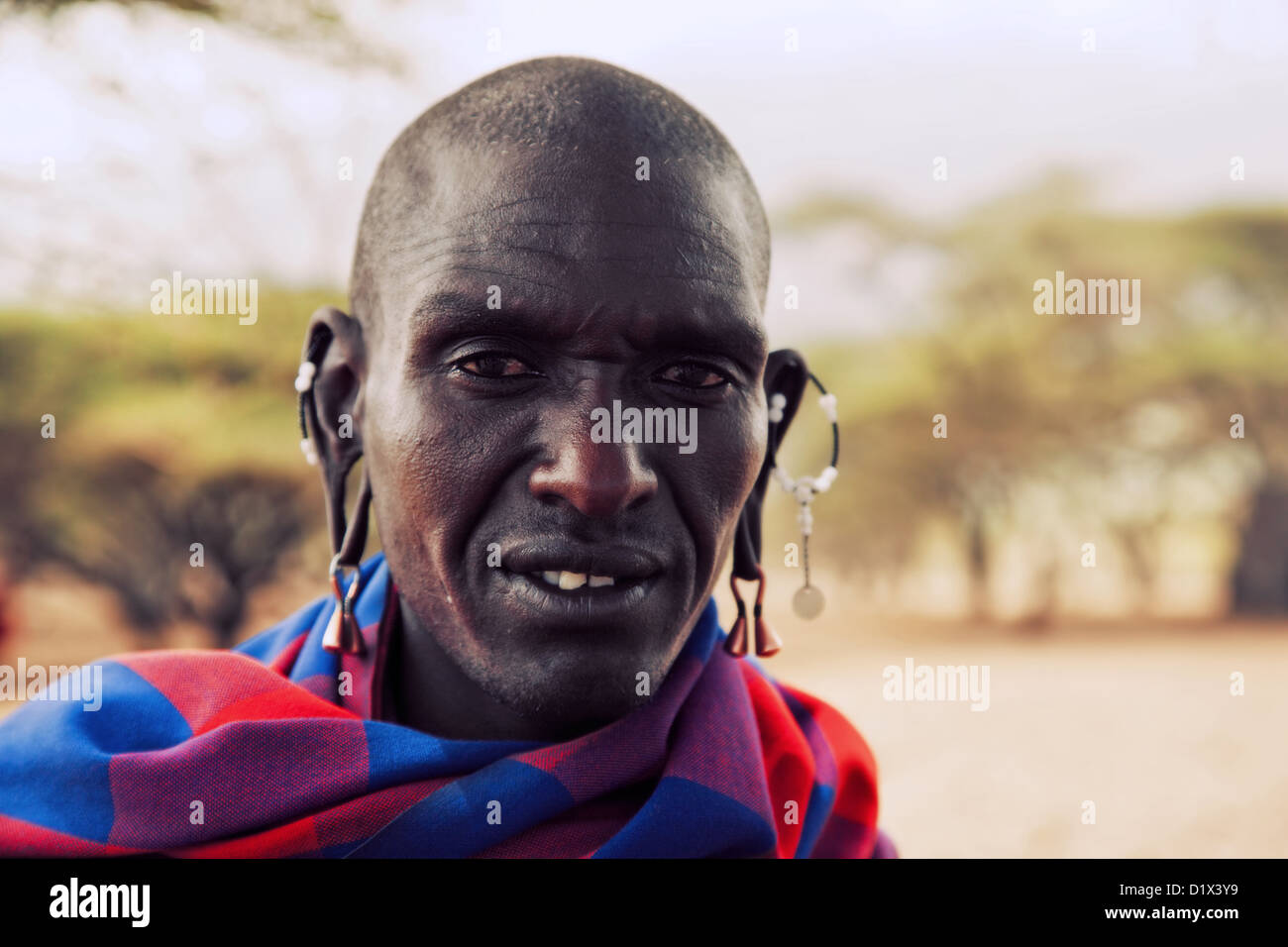 Maasai Mann Porträt in traditioneller Kleidung Stockfoto