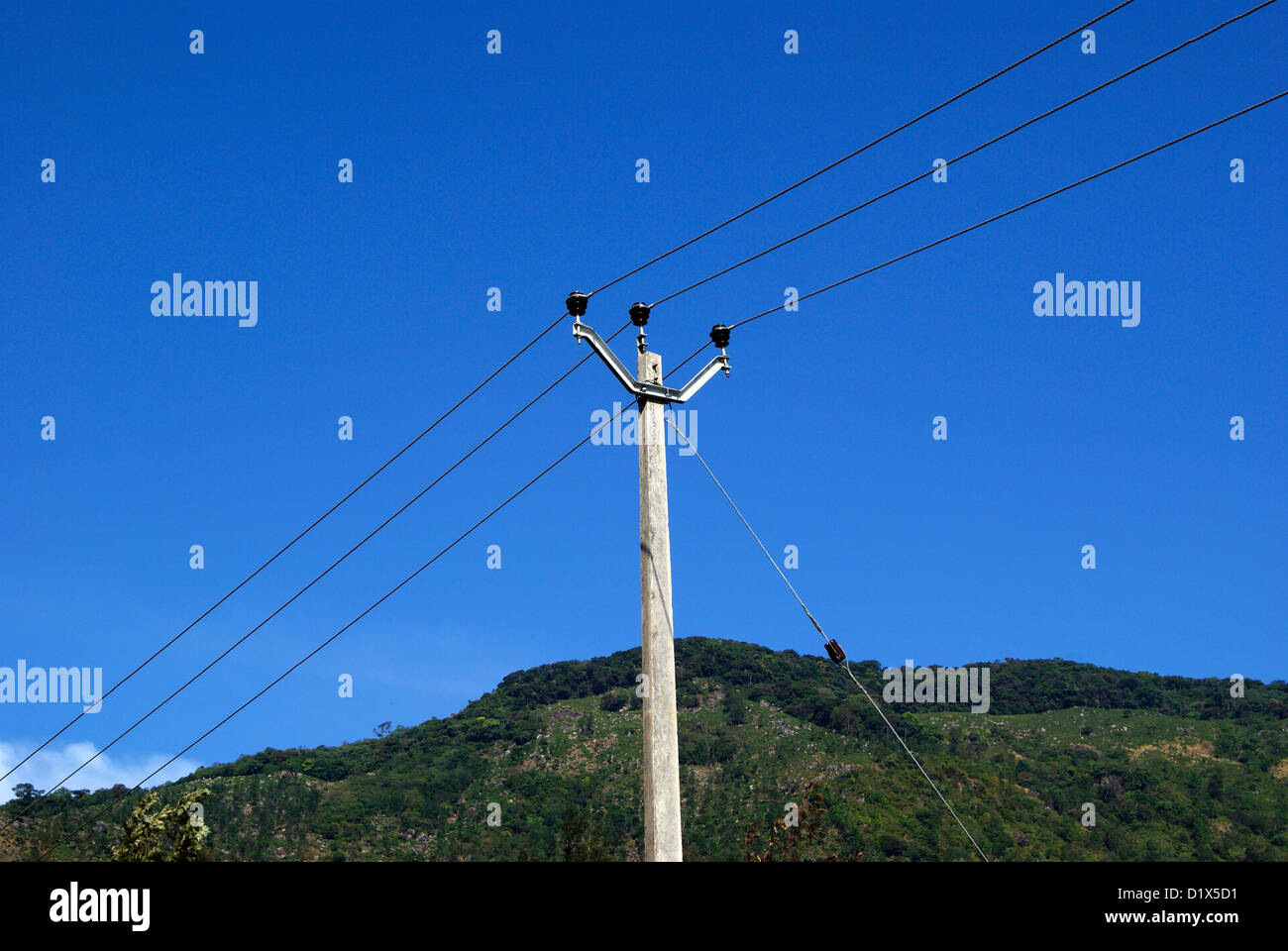 Elektrische Post und elektrische Leitungen Übertragung auf Täler von Ponmudi Hill Station in Kerala Indien Stockfoto